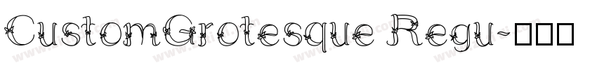CustomGrotesque Regu字体转换